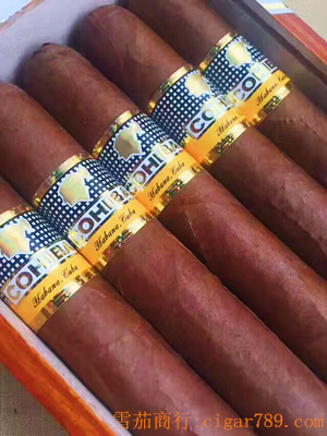 古巴高希霸6号雪茄 COHIBA SIGLO VI